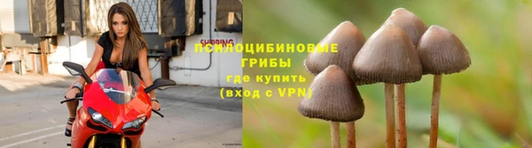 таблы Верхний Тагил