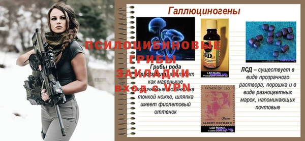 эйфоретик Верея