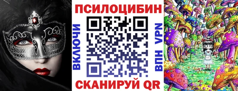 kraken зеркало  Томари  Псилоцибиновые грибы Psilocybine cubensis  где можно купить  