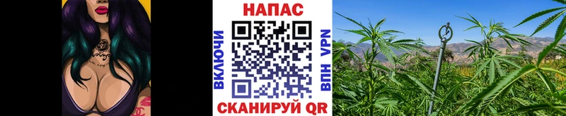 Канабис конопля  Томари 